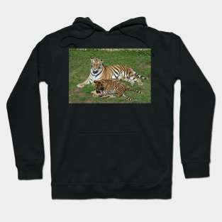 Tiger Mom and Cubs Hoodie